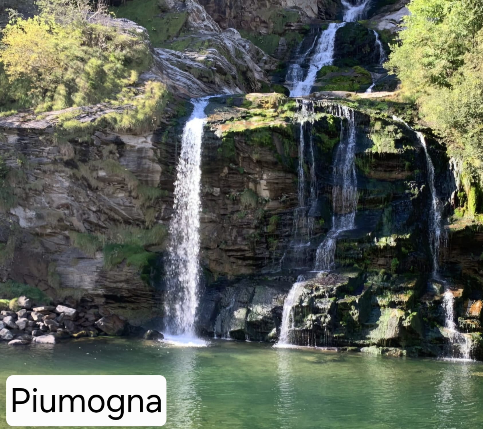 piumogna (1)